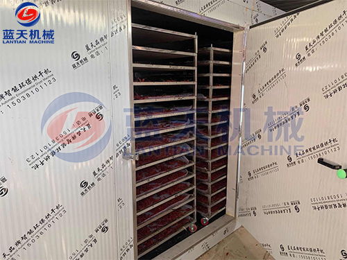 山西藥材烘干機(jī)烘干五味子